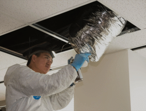 ducts air duct cleaning llc owner pic