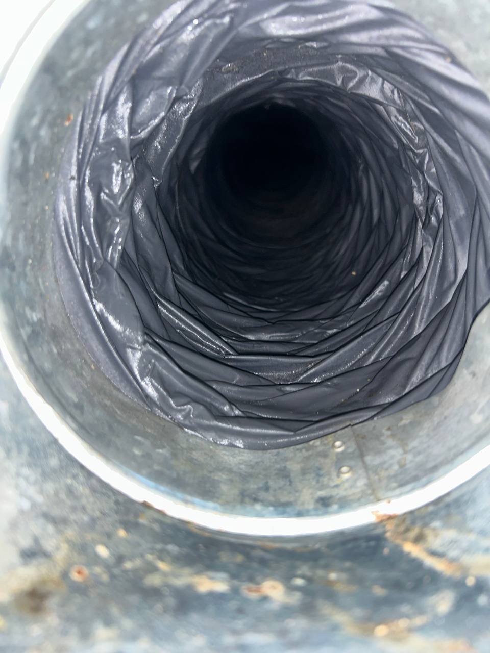 Dryer vent clear after bird nest and egg removal, Birmingham metro