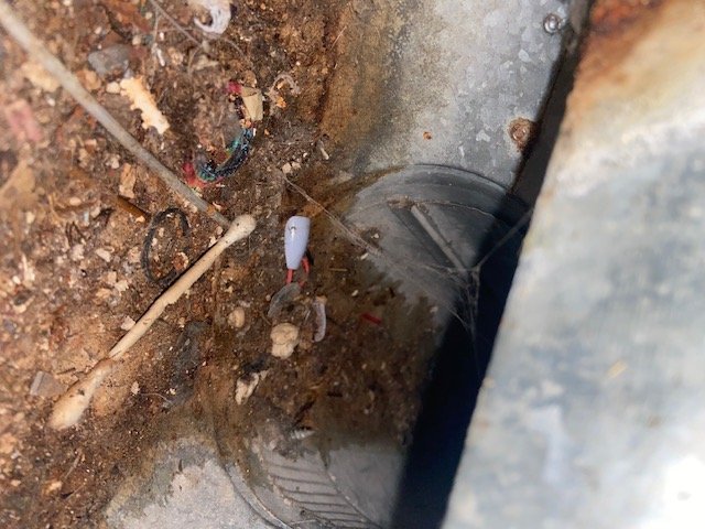 Crawl space air duct connection with debris, Gadsden, AL